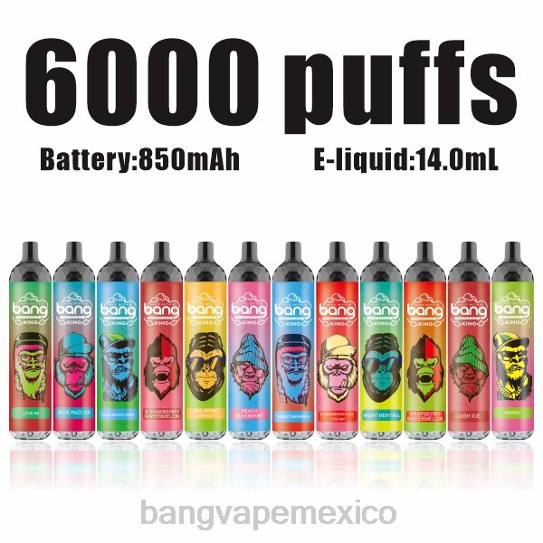 Vape Gang Shop - Bang Vape King 6000 inhalaciones 5% nic recargable tipo c Z0LZ8 desechable
