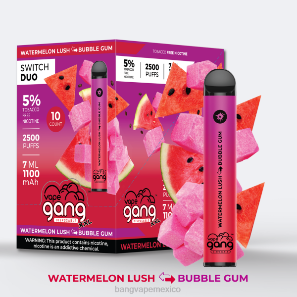 Vape Desechable Bang - Vape Gang Switch Duo 2 sabores (caja de 10) Z0LZ49 sandía exuberante - chicle