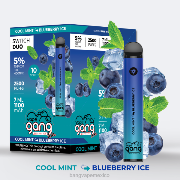 Vape Desechable Bang - Vape Gang Switch Duo 2 sabores (caja de 10) Z0LZ49 sandía exuberante - chicle
