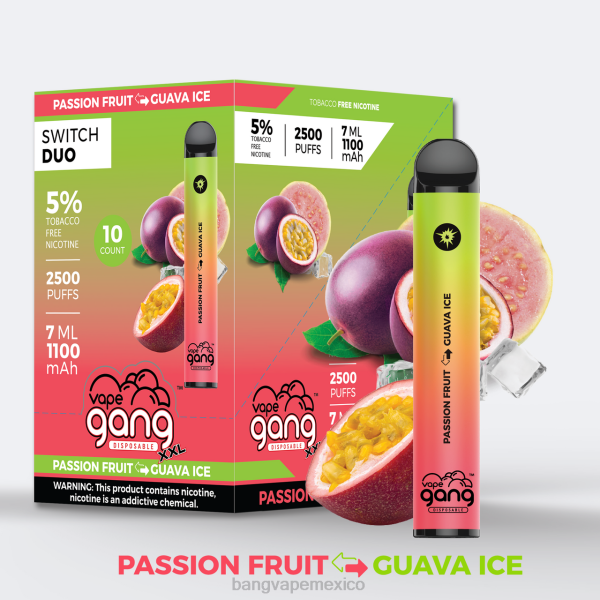 Vape Desechable Bang - Vape Gang Switch Duo 2 sabores (caja de 10) Z0LZ49 sandía exuberante - chicle
