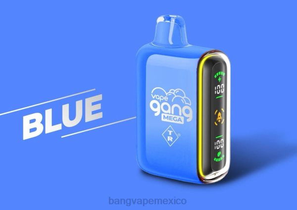 Bang Vape México - Vape Gang MEGA Vape desechable de 20.000 inhalaciones (caja de 5) Z0LZ52 azul