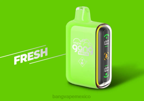 Vape Gang México - Vape Gang MEGA Vape desechable de 20.000 inhalaciones (caja de 5) Z0LZ53 fresco
