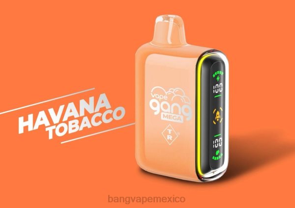 Vape Gang Monterrey - Vape Gang MEGA Vape desechable de 20.000 inhalaciones (caja de 5) Z0LZ55 tabaco habano