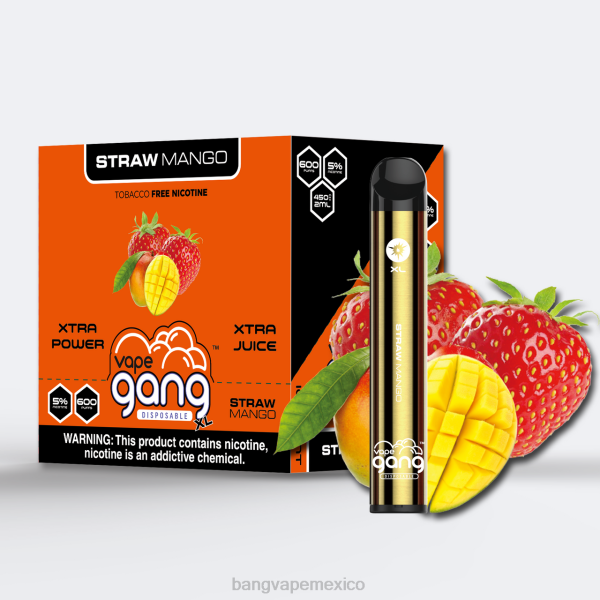 Vape Gang Disposables - Vape Gang XL vaporizadores desechables 600 inhalaciones (caja de 10) Z0LZ66 mango de paja