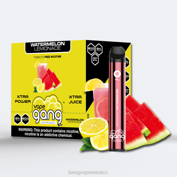 Vape Gang Monterrey - Vape Gang XL vaporizadores desechables 600 inhalaciones (caja de 10) Z0LZ65 limonada de sandia