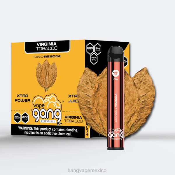 Vape Gang Shop - Vape Gang XL vaporizadores desechables 600 inhalaciones (caja de 10) Z0LZ70 tabaco virginia